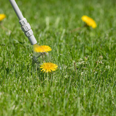 weed control