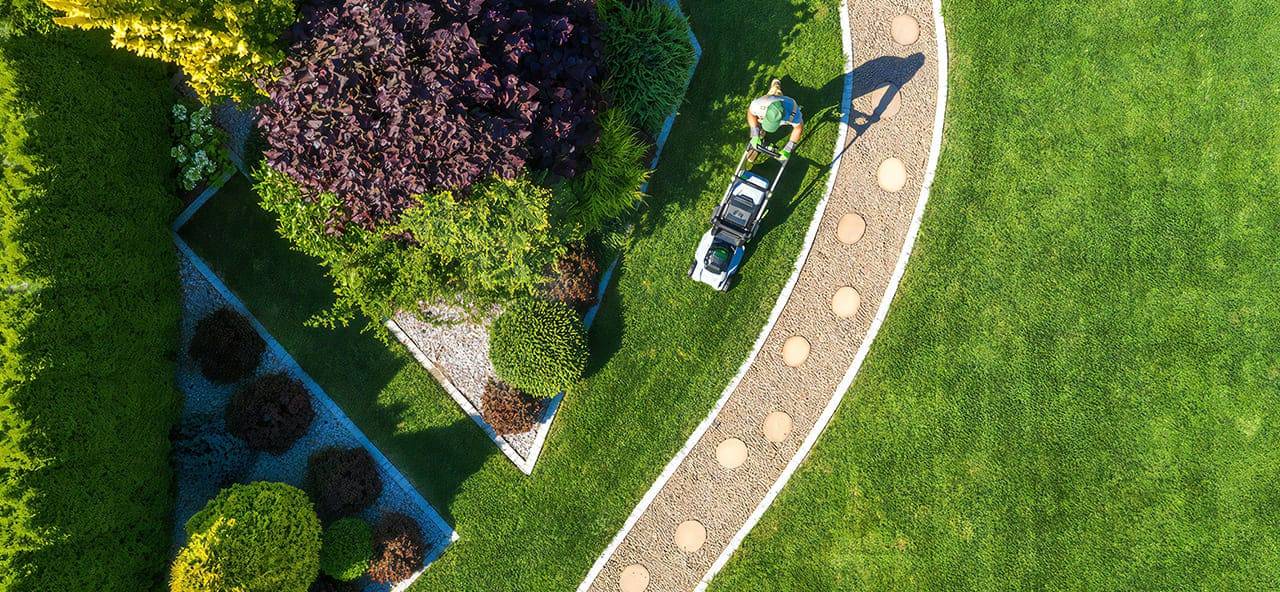 lawn