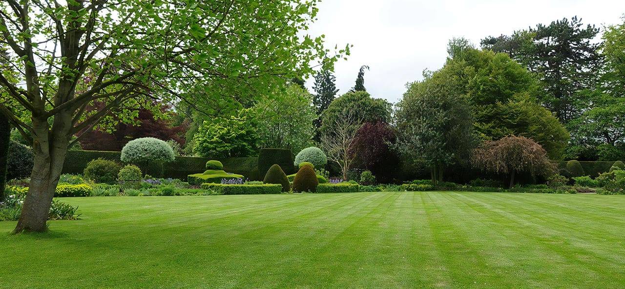 lawn